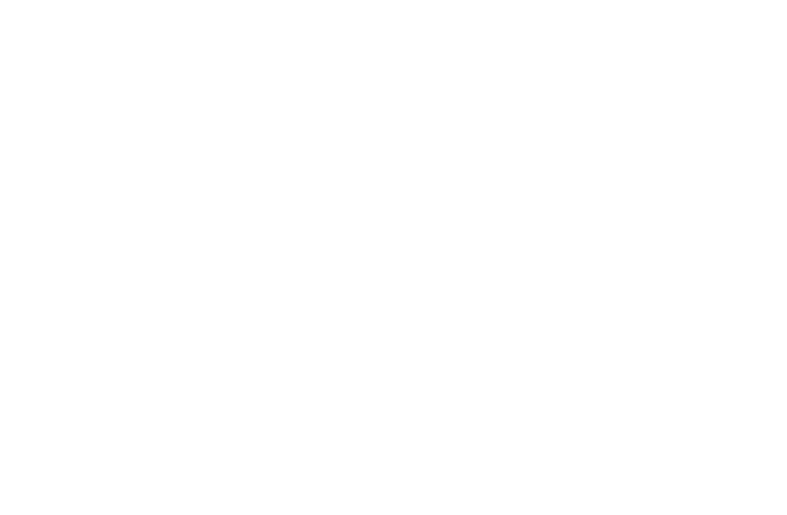 Koza Scaffolding Systems